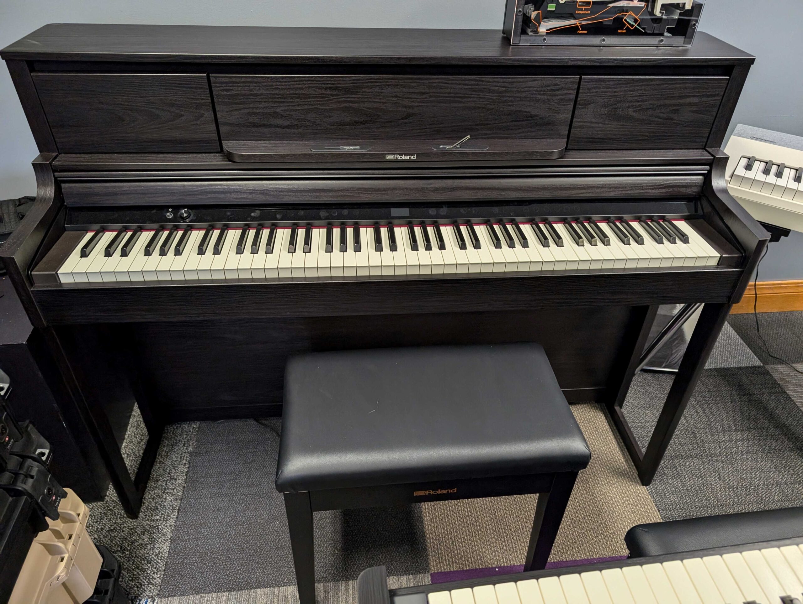 LX5 Rosewood